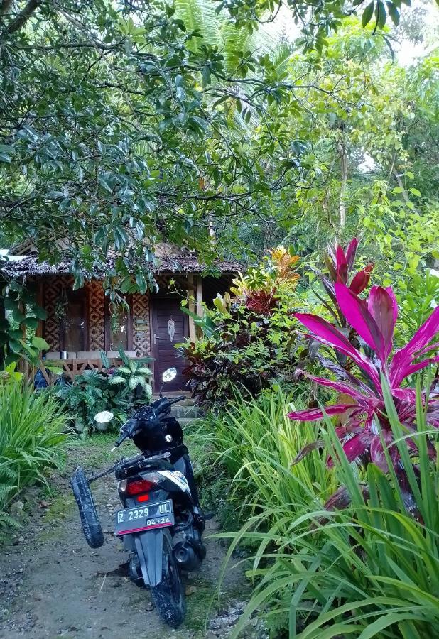 Anik Homestay & Dormy Batukaras المظهر الخارجي الصورة